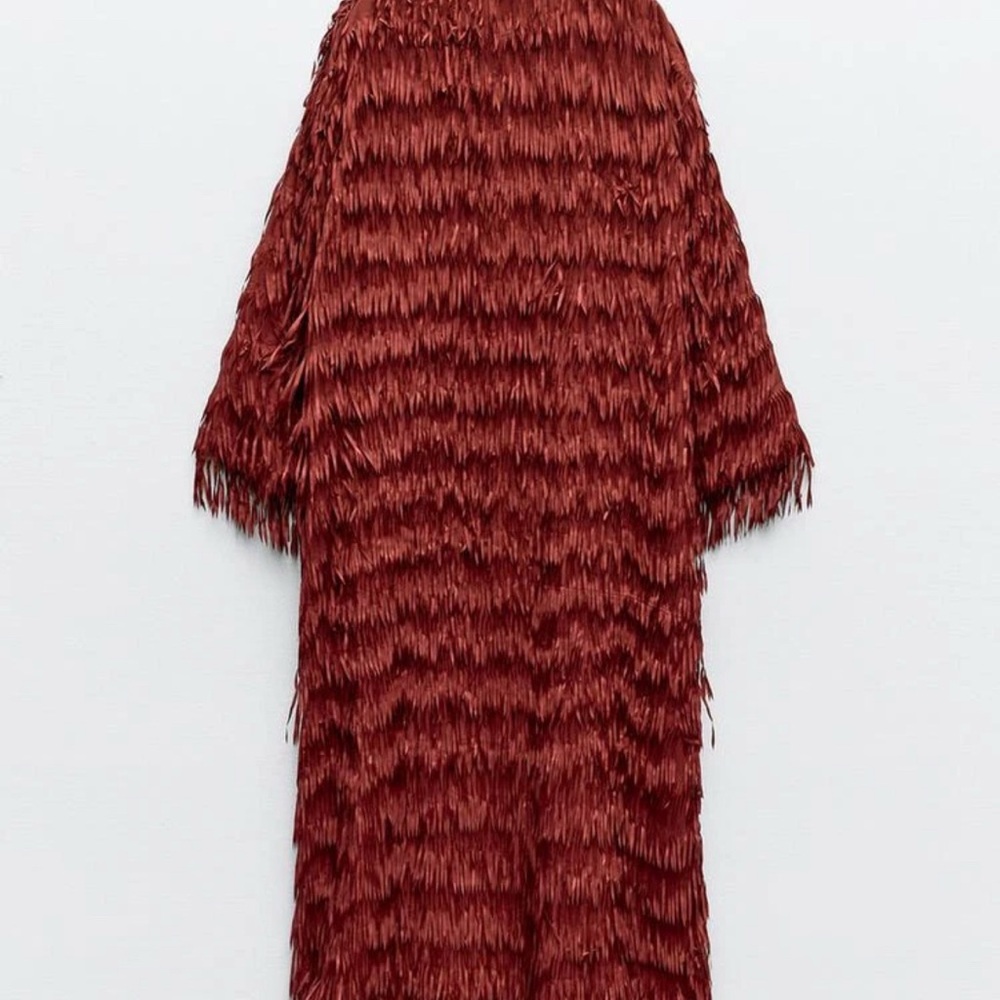 Zara Rust Red Textured Fringe Long Cape Coat - Picture 3 of 9
